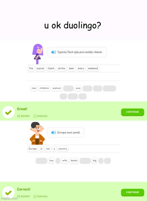 u ok duolingo? | u ok duolingo? | image tagged in duolingo | made w/ Imgflip meme maker