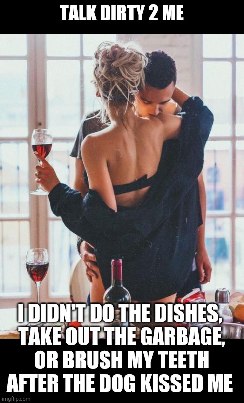 Talk dirty 2 me | TALK DIRTY 2 ME; I DIDN'T DO THE DISHES, 
TAKE OUT THE GARBAGE,
OR BRUSH MY TEETH AFTER THE DOG KISSED ME | image tagged in sexy,couples,relationship,dirty,funny,romance | made w/ Imgflip meme maker