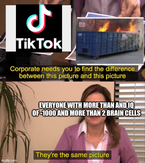 Tiktok is absolute trash | EVERYONE WITH MORE THAN AND IQ OF -1000 AND MORE THAN 2 BRAIN CELLS | image tagged in there the same picture | made w/ Imgflip meme maker