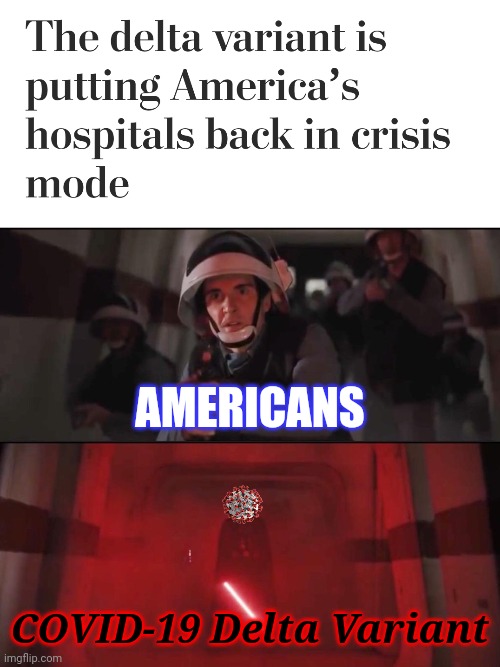 :'( | AMERICANS; COVID-19 Delta Variant | image tagged in vadar vs rebel soldiers hallway meme,coronavirus,covid-19,usa,delta,memes | made w/ Imgflip meme maker