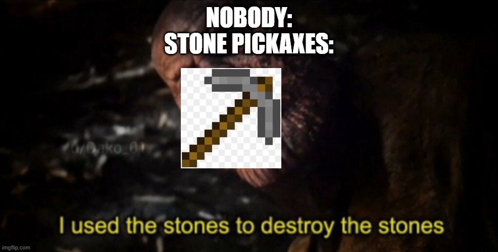 idk if someone made this before, but here it is :) | NOBODY:
STONE PICKAXES: | image tagged in i used the stones to destroy the stones,minecraft | made w/ Imgflip meme maker