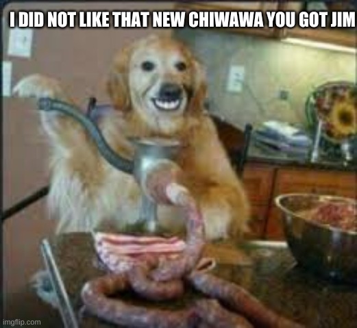 Oh No | I DID NOT LIKE THAT NEW CHIWAWA YOU GOT JIM | image tagged in meat dog,oh wow are you actually reading these tags | made w/ Imgflip meme maker