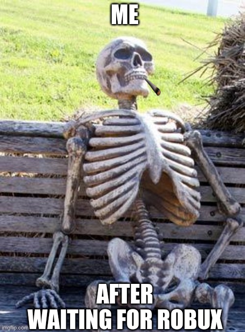 B O B U C K S | ME; AFTER WAITING FOR ROBUX | image tagged in memes,waiting skeleton | made w/ Imgflip meme maker