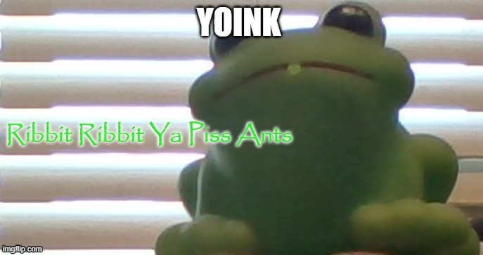 Ribbit Ribbit Ya Piss Ants (Picture Ver) | YOINK | image tagged in ribbit ribbit ya piss ants picture ver | made w/ Imgflip meme maker
