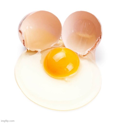 cracked egg | image tagged in cracked egg | made w/ Imgflip meme maker