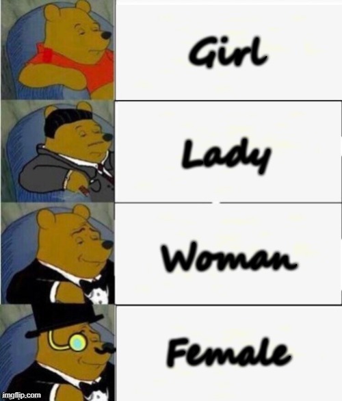 Tuxedo Winnie the Pooh 4 panel | Girl; Lady; Woman; Female | image tagged in tuxedo winnie the pooh 4 panel | made w/ Imgflip meme maker