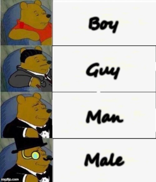 Tuxedo Winnie the Pooh 4 panel | Boy; Guy; Man; Male | image tagged in tuxedo winnie the pooh 4 panel | made w/ Imgflip meme maker