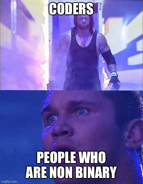 Coders scare them | CODERS; PEOPLE WHO ARE NON BINARY | image tagged in randy orton undertaker | made w/ Imgflip meme maker