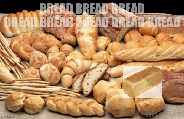 bread | BREAD BREAD BREAD BREAD BREAD BREAD BREAD BREAD | image tagged in bread | made w/ Imgflip meme maker