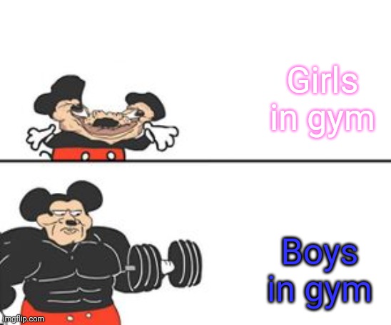 Gym in a nutshell | Girls in gym; Boys in gym | image tagged in buff mokey | made w/ Imgflip meme maker