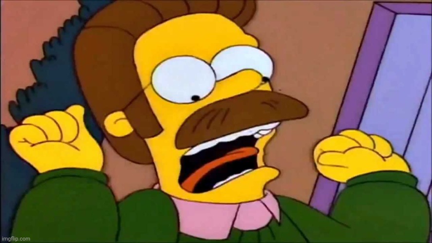 Ned Flanders scream | image tagged in ned flanders scream | made w/ Imgflip meme maker