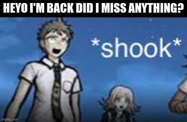 *shook* | HEYO I'M BACK DID I MISS ANYTHING? | image tagged in shook | made w/ Imgflip meme maker