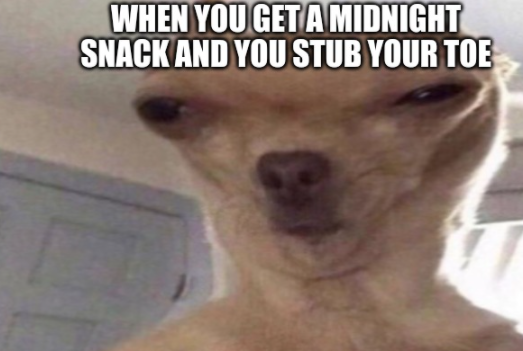 When you stub your toe Blank Meme Template