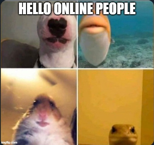 online classes | HELLO ONLINE PEOPLE | image tagged in online classes | made w/ Imgflip meme maker