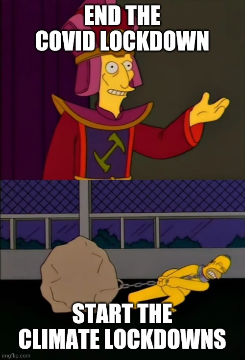 It's coming | END THE COVID LOCKDOWN; START THE CLIMATE LOCKDOWNS | image tagged in homer stone of shame | made w/ Imgflip meme maker