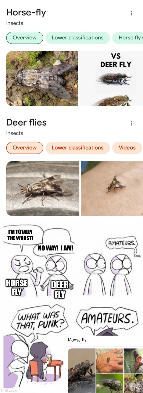 Apparently Moose Fly is a thing now | I’M TOTALLY THE WORST! NO WAY!  I AM! HORSE FLY; DEER FLY | image tagged in amateurs,funny,memes,flies | made w/ Imgflip meme maker
