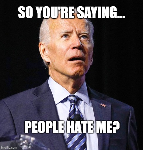 Yes. Yes they do. | SO YOU'RE SAYING... PEOPLE HATE ME? | image tagged in joe biden | made w/ Imgflip meme maker