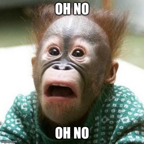 Shocked Monkey | OH NO OH NO | image tagged in shocked monkey | made w/ Imgflip meme maker