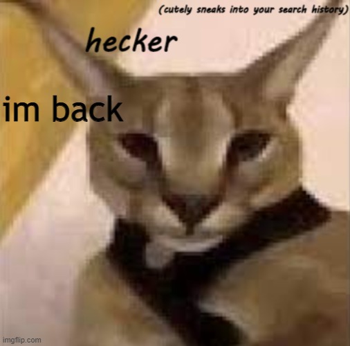 im back | image tagged in hecker template | made w/ Imgflip meme maker