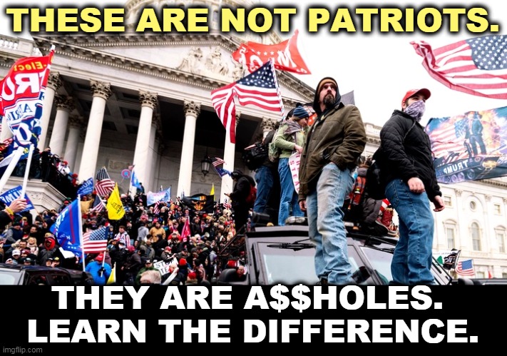 Patriots uphold the Constitution. They don't destroy it. | THESE ARE NOT PATRIOTS. THEY ARE A$$HOLES. 

LEARN THE DIFFERENCE. | image tagged in capitol riot,maga,idiots,not,patriots | made w/ Imgflip meme maker