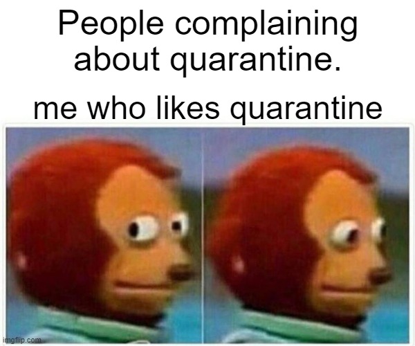 me irl | People complaining about quarantine. me who likes quarantine | image tagged in memes,monkey puppet | made w/ Imgflip meme maker