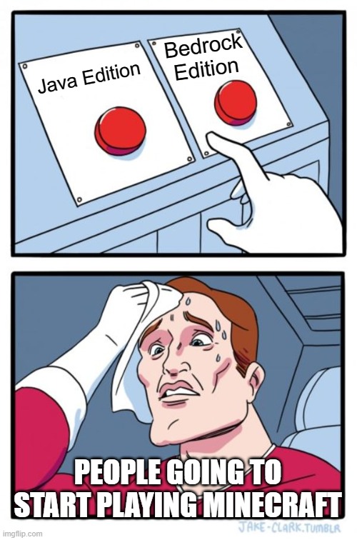 It's a hard choice honestly! | Bedrock Edition; Java Edition; PEOPLE GOING TO START PLAYING MINECRAFT | image tagged in memes,two buttons,gaming,minecraft | made w/ Imgflip meme maker