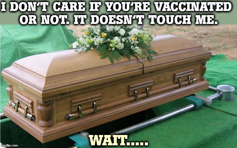 Said the dead Trump voter. | I DON'T CARE IF YOU'RE VACCINATED 
OR NOT. IT DOESN'T TOUCH ME. WAIT..... | image tagged in dead,covid-19,pandemic,virus,coffin,funeral | made w/ Imgflip meme maker