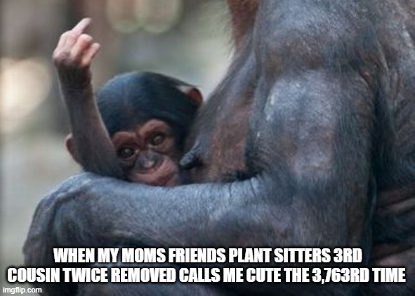 WHEN MY MOMS FRIENDS PLANT SITTERS 3RD COUSIN TWICE REMOVED CALLS ME CUTE THE 3,763RD TIME | image tagged in flip off | made w/ Imgflip meme maker