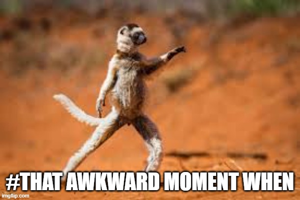 when you get caught in the act dancing | #THAT AWKWARD MOMENT WHEN | image tagged in awkward moment sealion | made w/ Imgflip meme maker