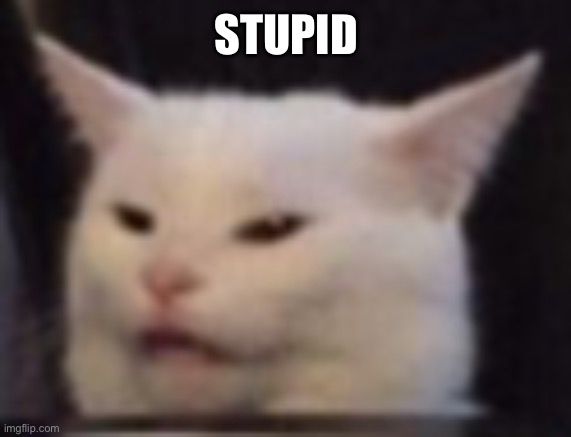 Cat | STUPID | image tagged in cat | made w/ Imgflip meme maker