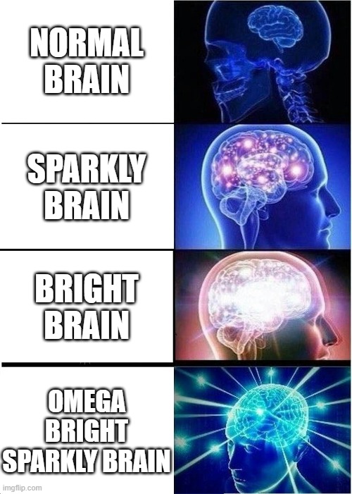 Yes. | NORMAL BRAIN; SPARKLY BRAIN; BRIGHT BRAIN; OMEGA BRIGHT SPARKLY BRAIN | image tagged in memes,expanding brain,yeah this is big brain time | made w/ Imgflip meme maker