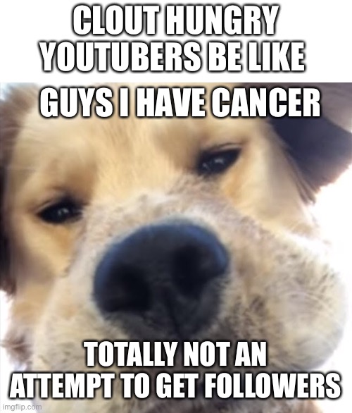 Doggo bruh | CLOUT HUNGRY YOUTUBERS BE LIKE; GUYS I HAVE CANCER; TOTALLY NOT AN ATTEMPT TO GET FOLLOWERS | image tagged in doggo bruh | made w/ Imgflip meme maker