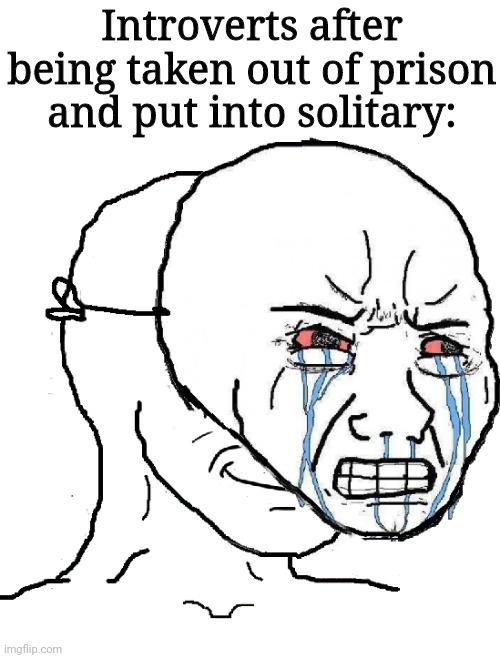 ? | Introverts after being taken out of prison and put into solitary: | image tagged in guy with happy face crying mask | made w/ Imgflip meme maker
