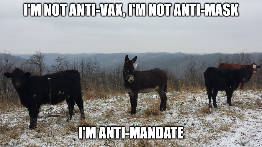 Not Anti | I'M NOT ANTI-VAX, I'M NOT ANTI-MASK; I'M ANTI-MANDATE | image tagged in meme | made w/ Imgflip meme maker