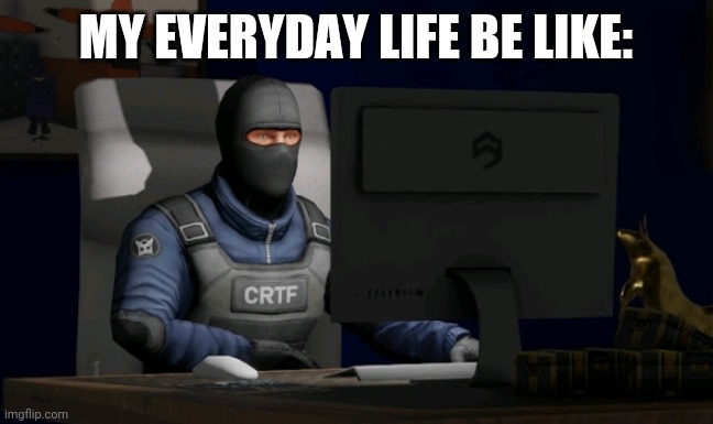 counter-terrorist looking at the computer | MY EVERYDAY LIFE BE LIKE: | image tagged in computer | made w/ Imgflip meme maker