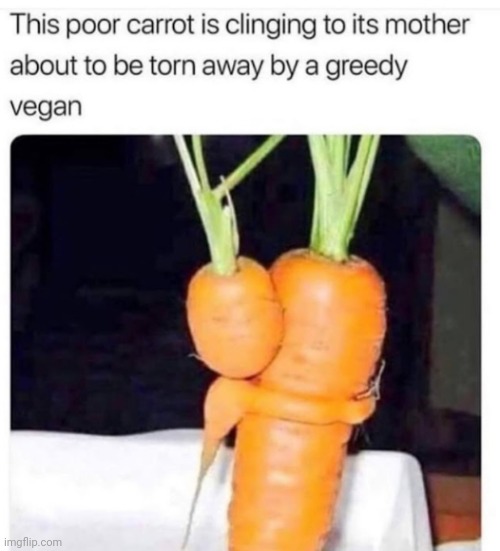 image tagged in funny memes | made w/ Imgflip meme maker