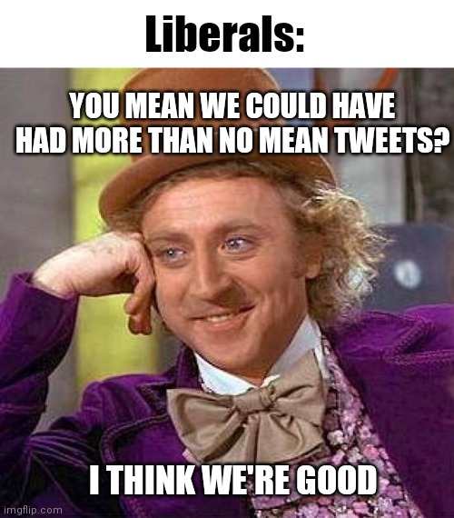 Creepy Condescending Wonka Meme | Liberals: YOU MEAN WE COULD HAVE HAD MORE THAN NO MEAN TWEETS? I THINK WE'RE GOOD | image tagged in memes,creepy condescending wonka | made w/ Imgflip meme maker