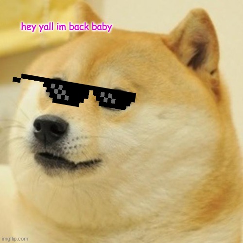 im back | hey yall im back baby | image tagged in memes,doge | made w/ Imgflip meme maker