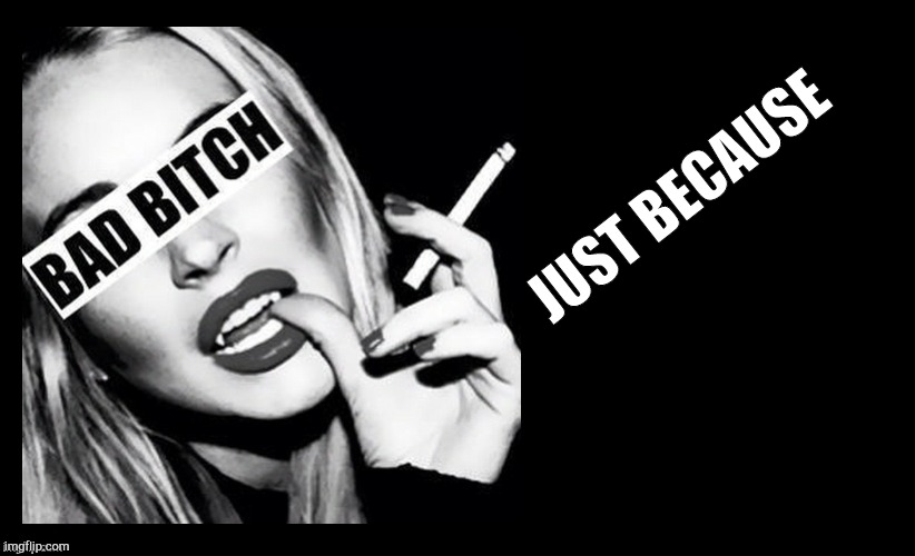 BAD BITCH ,,, | JUST BECAUSE | image tagged in bad bitch | made w/ Imgflip meme maker