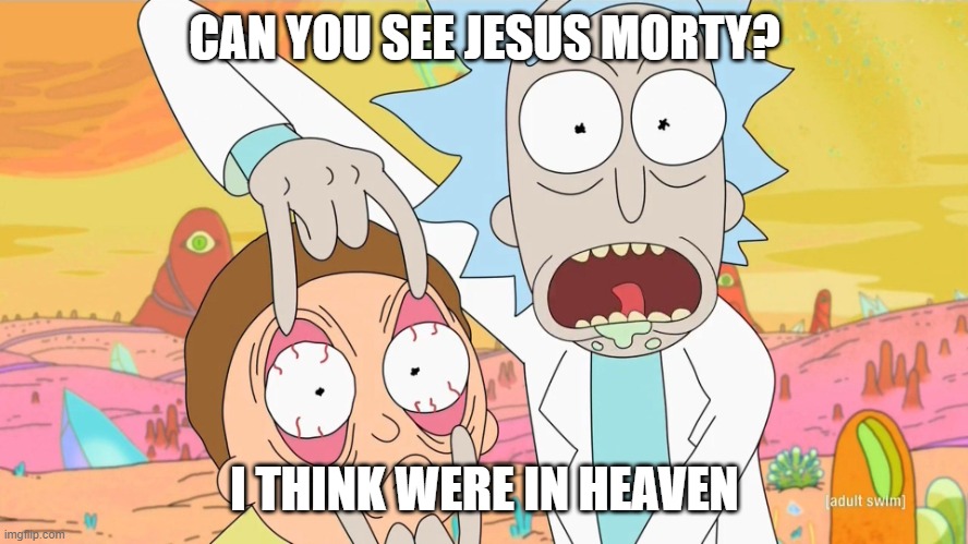 image tittle | CAN YOU SEE JESUS MORTY? I THINK WERE IN HEAVEN | image tagged in rick and morty scam | made w/ Imgflip meme maker