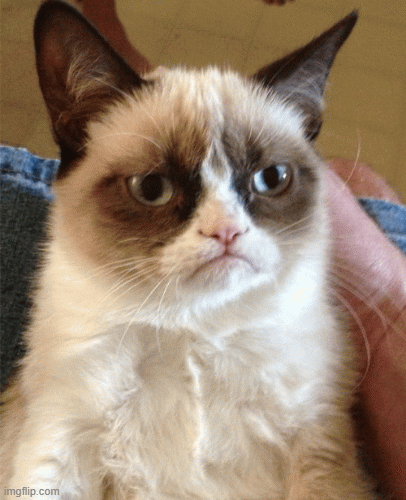 NOOOO | image tagged in gifs,grumpy cat | made w/ Imgflip images-to-gif maker