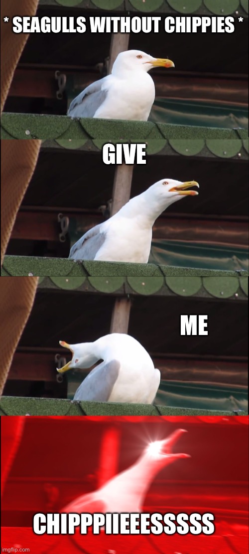 The every day life of a seagull | * SEAGULLS WITHOUT CHIPPIES *; GIVE; ME; CHIPPPIIEEESSSSS | image tagged in memes,inhaling seagull | made w/ Imgflip meme maker