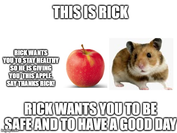 rick the hamster | THIS IS RICK; RICK WANTS YOU TO STAY HEALTHY SO HE IS GIVING YOU  THIS APPLE. SAY THANKS RICK! RICK WANTS YOU TO BE SAFE AND TO HAVE A GOOD DAY | image tagged in blank white template,hamster,apple | made w/ Imgflip meme maker