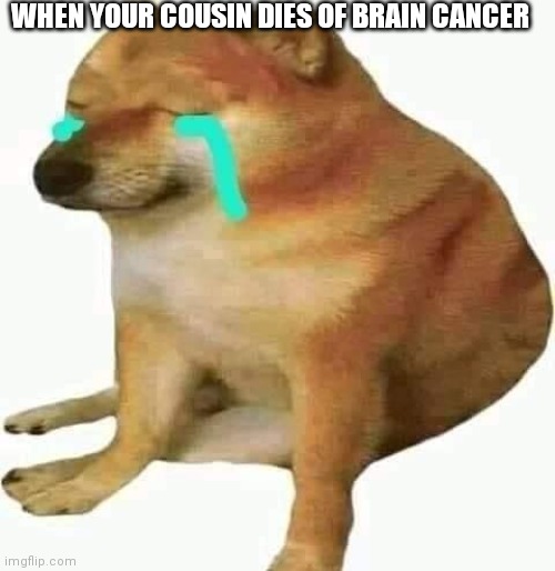 cheems crying | WHEN YOUR COUSIN DIES OF BRAIN CANCER | image tagged in cheems crying,sad,press f to pay respects,cancer is a bitch | made w/ Imgflip meme maker
