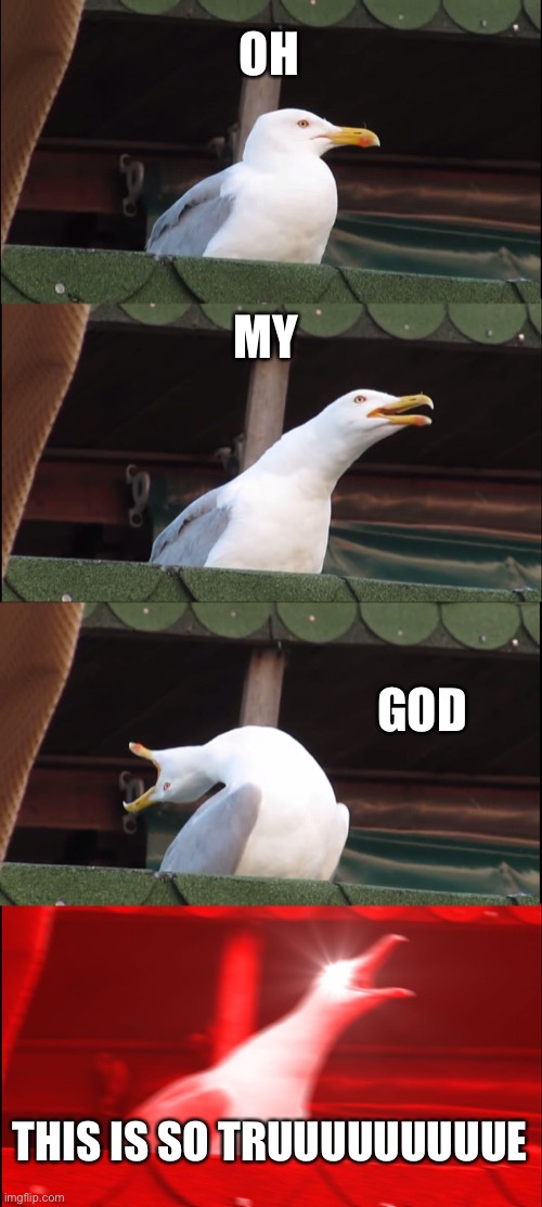 Inhaling Seagull Meme | OH MY GOD THIS IS SO TRUUUUUUUUUE | image tagged in memes,inhaling seagull | made w/ Imgflip meme maker