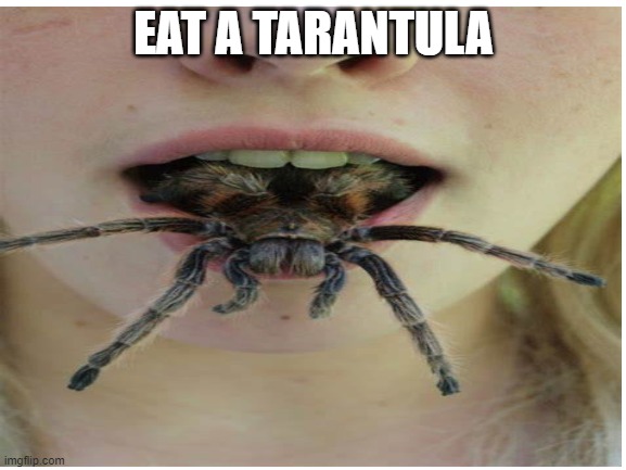 eat one | EAT A TARANTULA | image tagged in death,eating | made w/ Imgflip meme maker