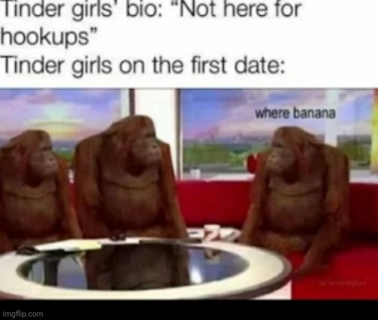 image tagged in funny memes | made w/ Imgflip meme maker