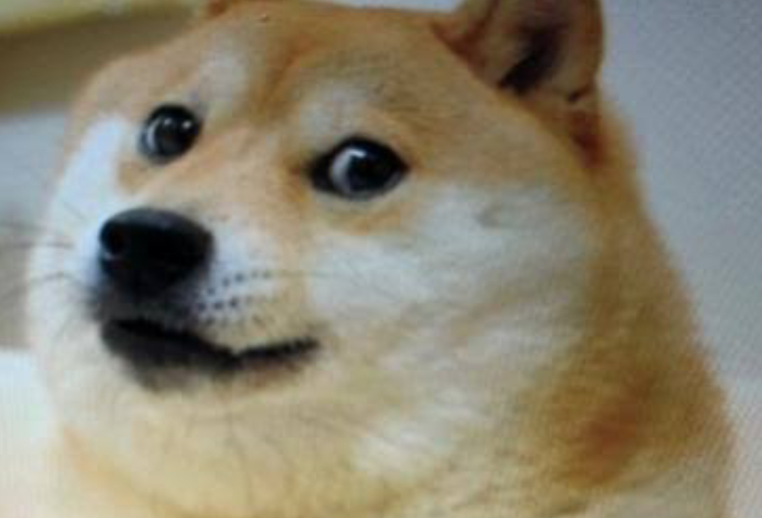 High Quality Doge Blank Meme Template