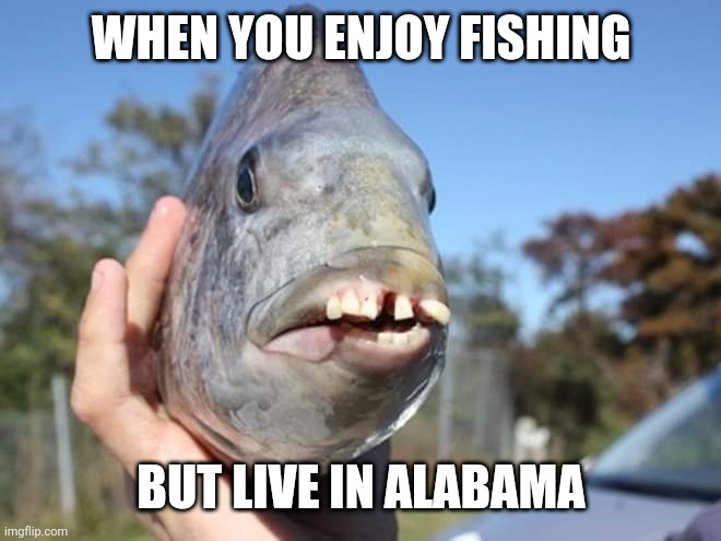 Should we throw it back? | WHEN YOU ENJOY FISHING; BUT LIVE IN ALABAMA | image tagged in memes,fishing,redneck,fish,alabama | made w/ Imgflip meme maker
