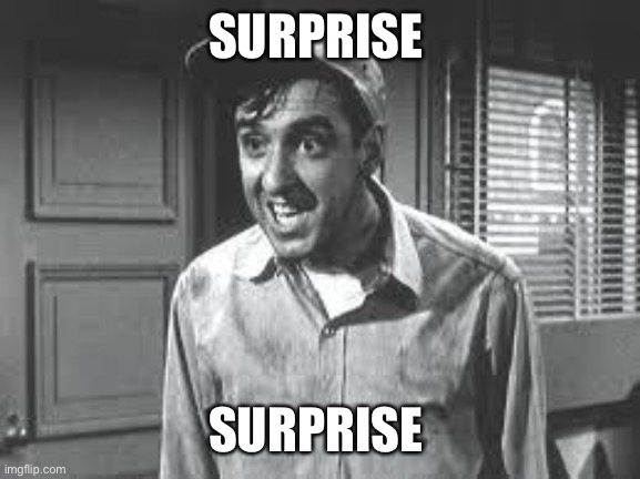 Lockdown blues | SURPRISE; SURPRISE | image tagged in gomer pyle | made w/ Imgflip meme maker